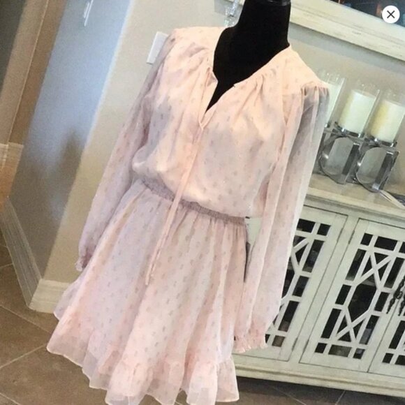 WAYF BFF Collection Pink Swiss Dot Long Sleeve Ruffle Dress NWT Size Small - Picture 4 of 4
